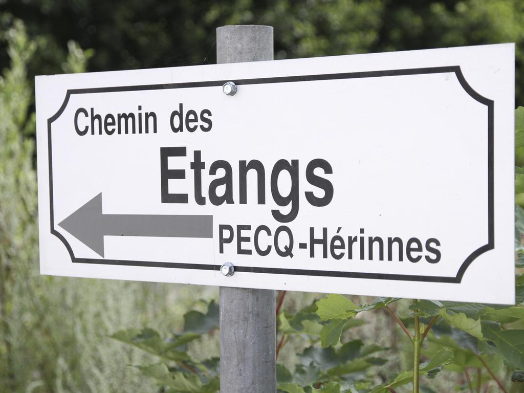 Вилла Terre D'O Pecq Экстерьер фото